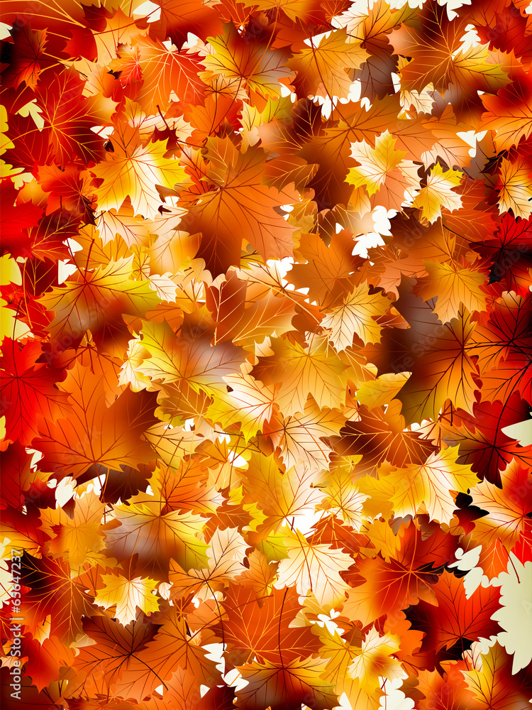 Colorful background of autumn leaves. EPS 10 Colorful background of autumn leaves. EPS 10