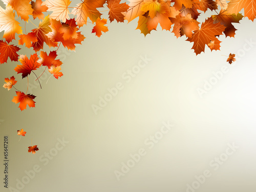 Colorful autumn leaves falling. EPS 10
