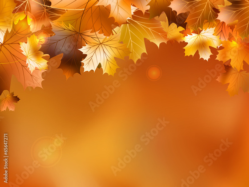 Autumn background with leaves. EPS 10