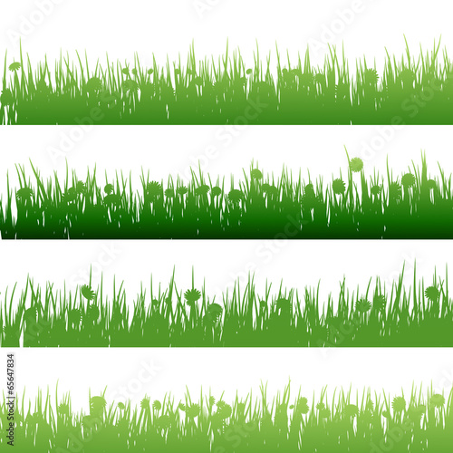Grass and plants detailed silhouettes. EPS 10