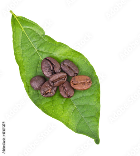 coffee grains and leaves on white