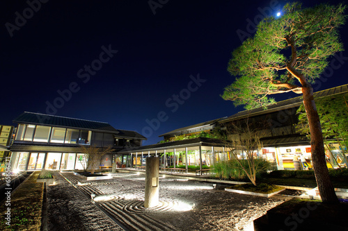 Japanese stone garden at night