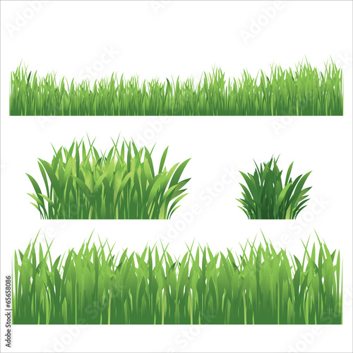 Green grass