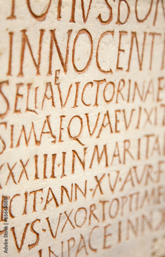 latin writing background latin writing background