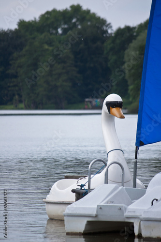 Weißes Schwanen-Tretboot photo