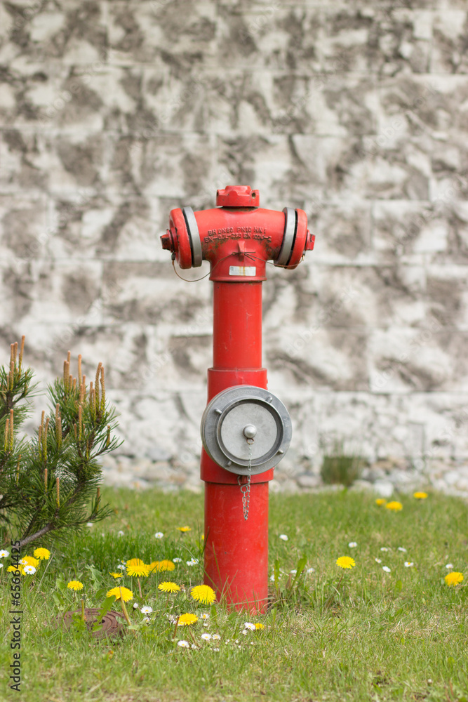 Hydrant with water in the grass