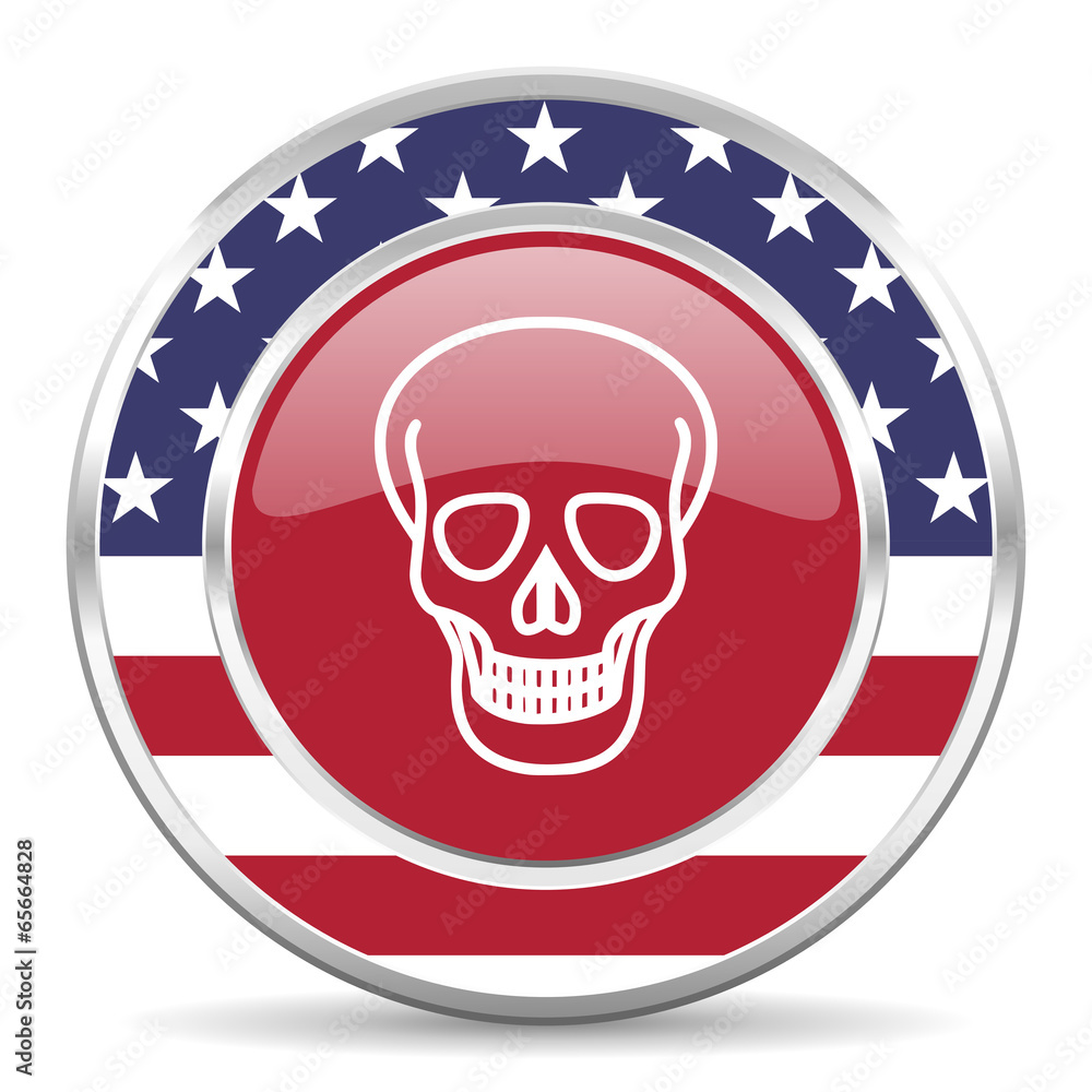 skull american icon, usa flag