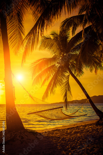 Hammock silhouette with palm trees on a beautiful at sunset