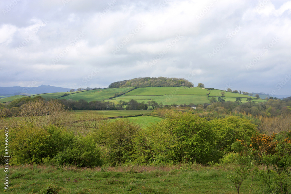 Devon countryside Devon countryside