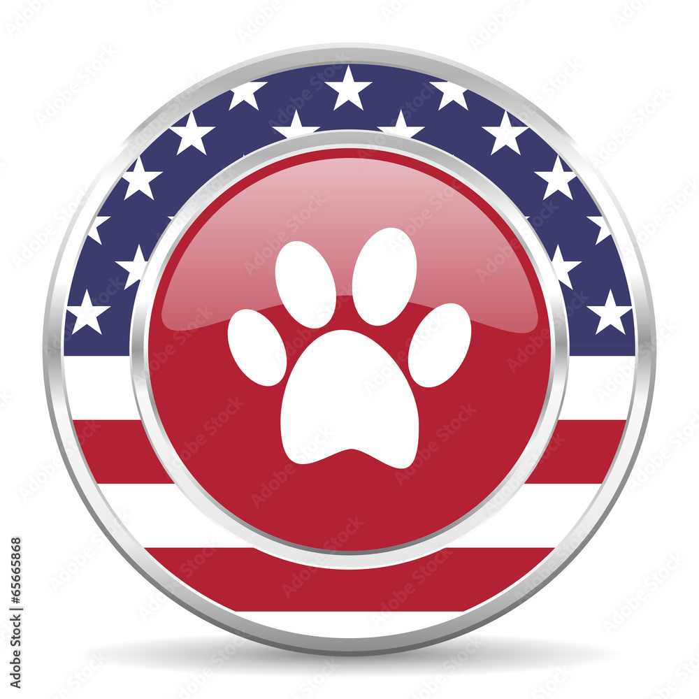 foot american icon, usa flag foot american icon, usa flag