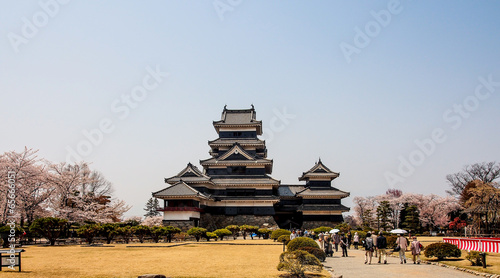 Matsumoto castle with blue sky in spring season