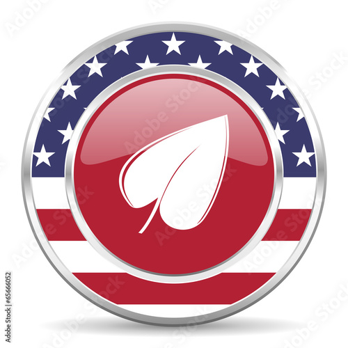 leaf american icon, usa flag