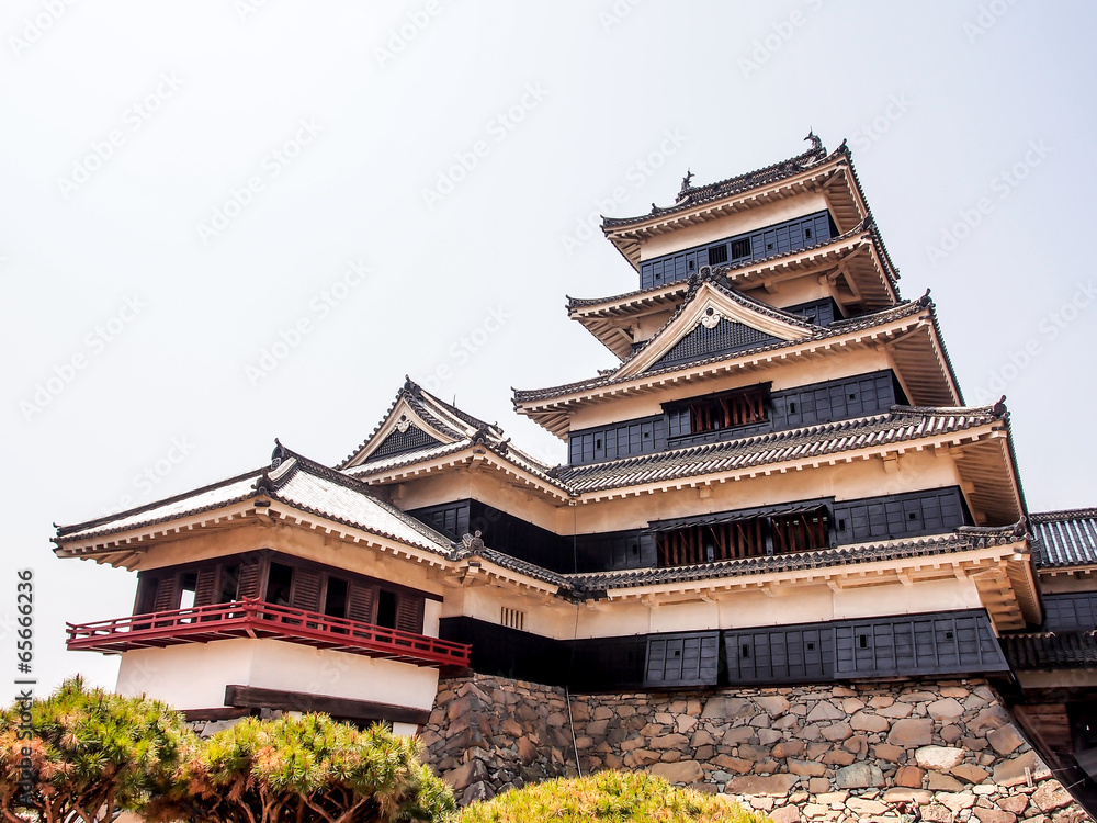 Matsumoto castle with blue sky in spring season Matsumoto castle with blue sky in spring season