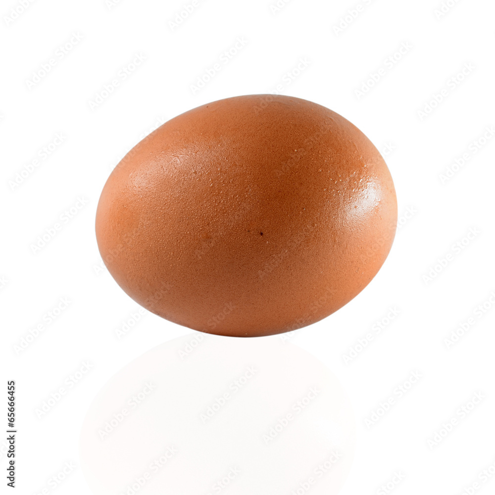 egg isolated on white background