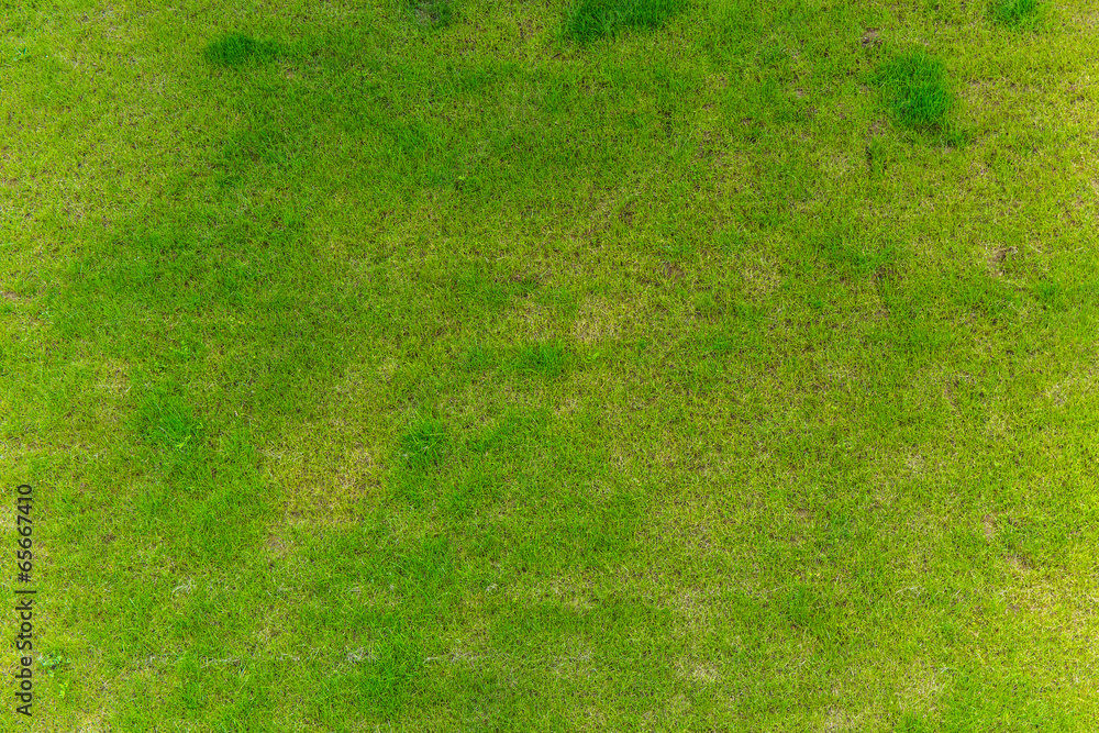 Fototapeta premium Fleckiger Rasen von Oben