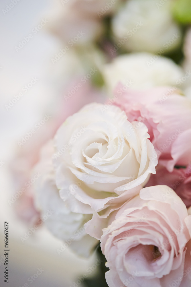 Obraz premium róże