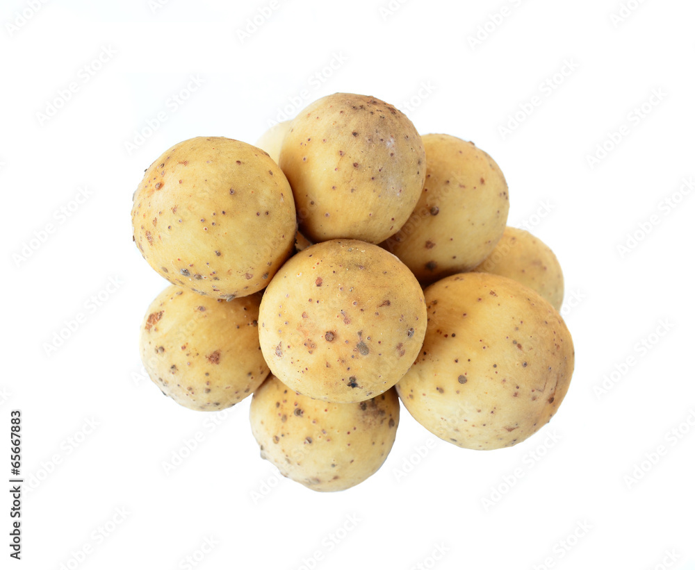 Lanzones fruit isolated on white background Lanzones fruit isolated on white background