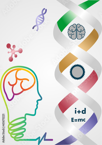 silhouette of the head with brain