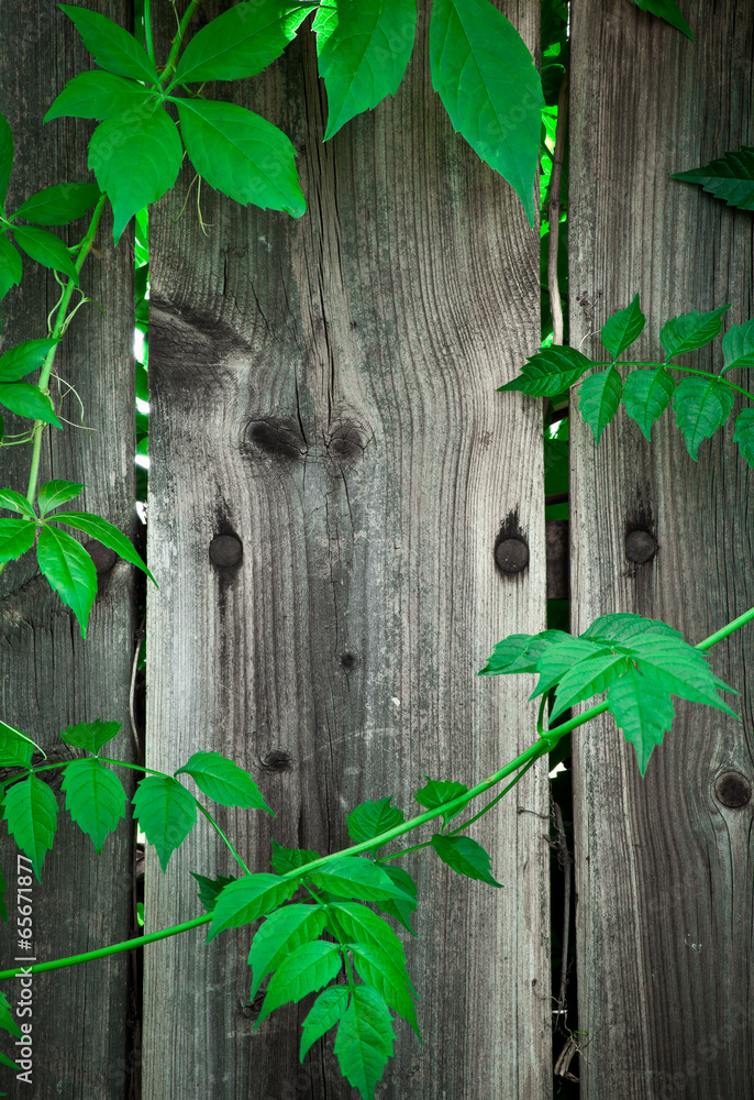holz hintergrund holz hintergrund