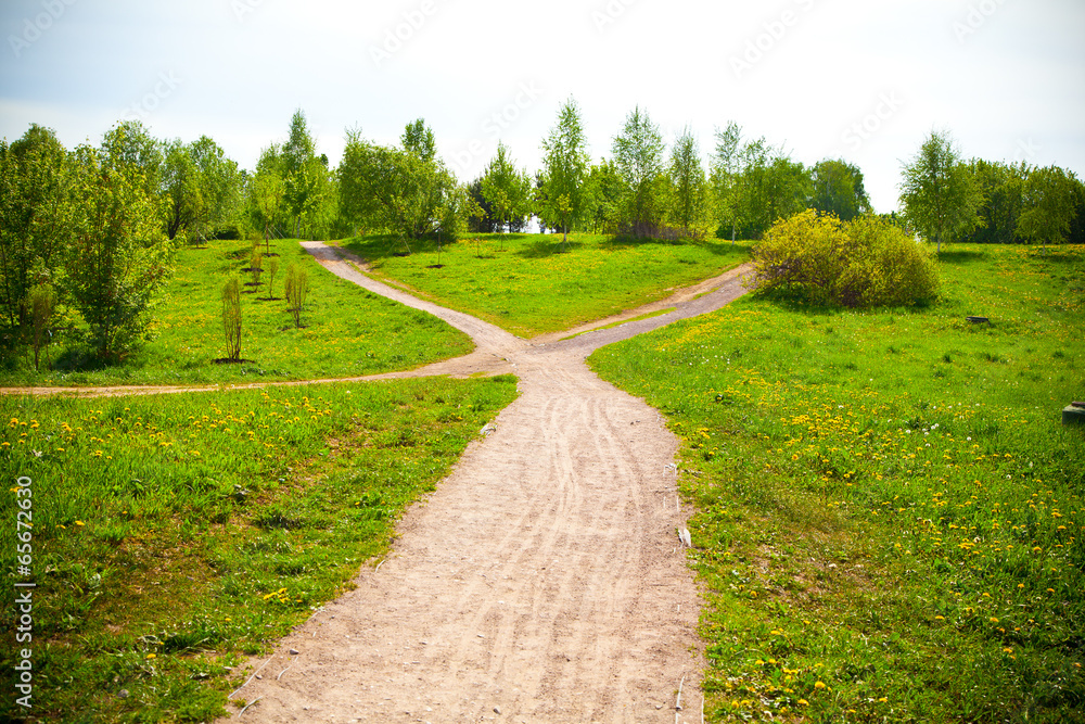 Fork in the road in the park and blooming dandelions