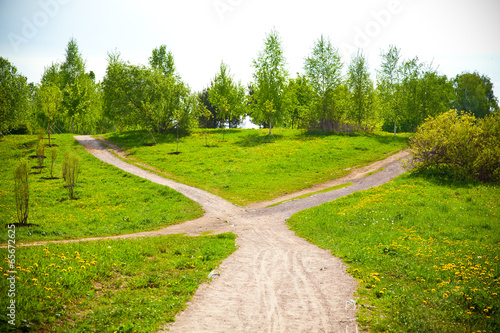 Fork in the road in the park and blooming dandelions