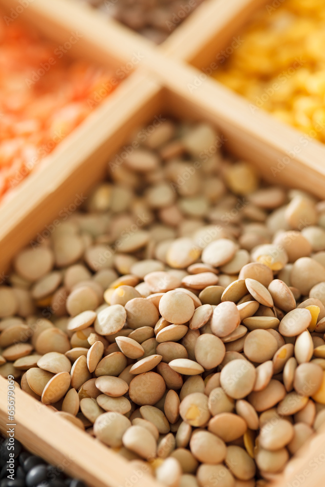 Fototapeta premium dried lentils