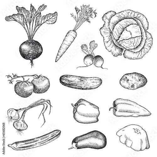 vegetables set