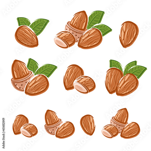 Almonds set. Vector