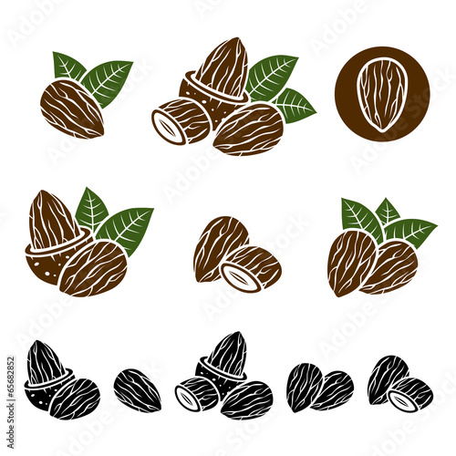 Almonds set. Vector