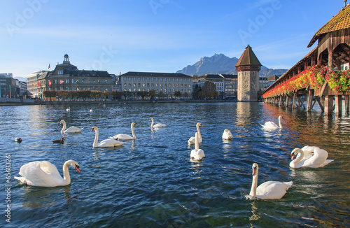 Lucerne, early morning