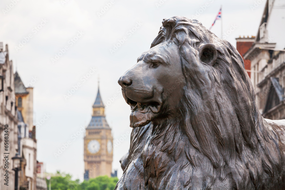 Obraz premium Lion in Trafalgar Square. London, England
