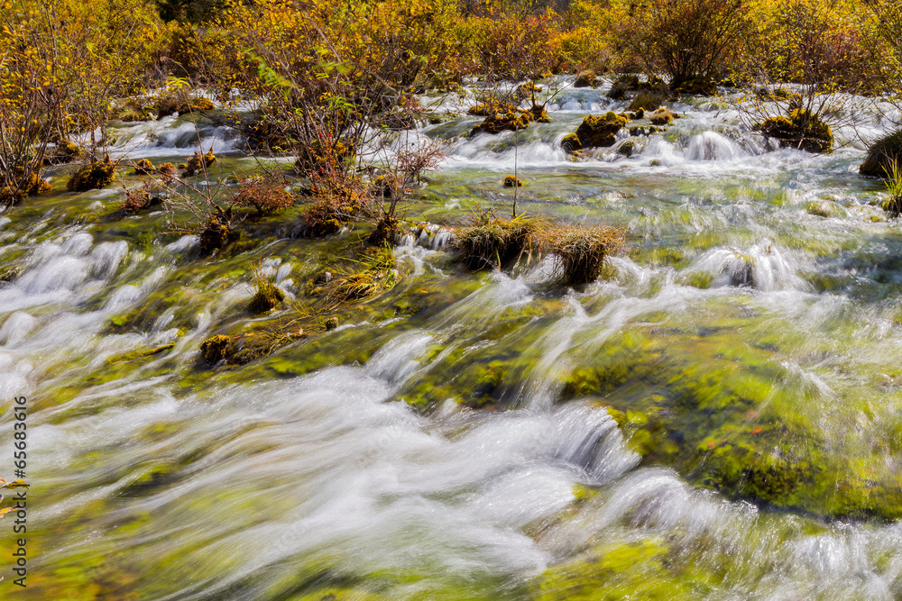 streams and fallings in Jiuzhaigou of China streams and fallings in Jiuzhaigou of China