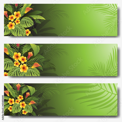 tropical banner