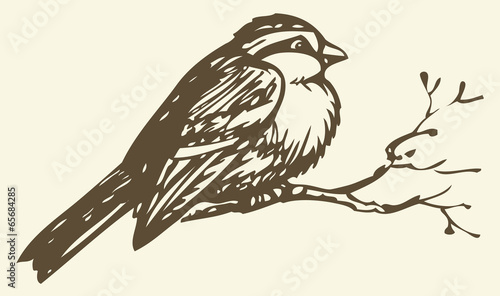 Vector drawing. Small titmouse on a branch