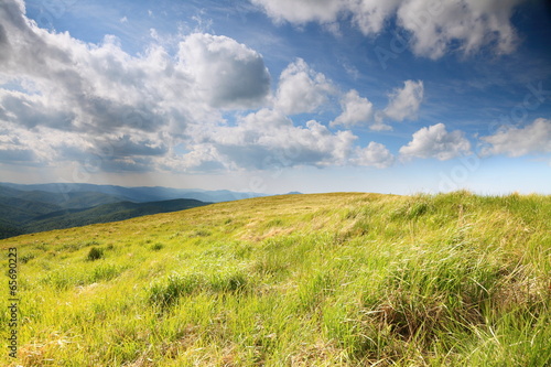 Nature. Field mountain landscape in the summer