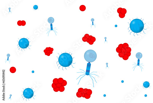 Viral Infection