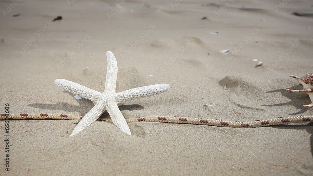 Starfishes, seashell and rope on the beach. HD motorized slider. Starfishes, seashell and rope on the beach. HD motorized slider.