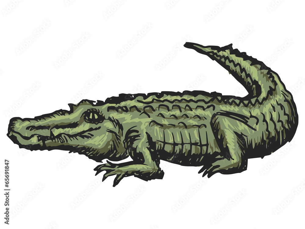 crocodile crocodile