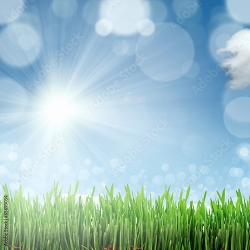 Spring nature background with grass and blue sky in the back © Natalia Merzlyakova