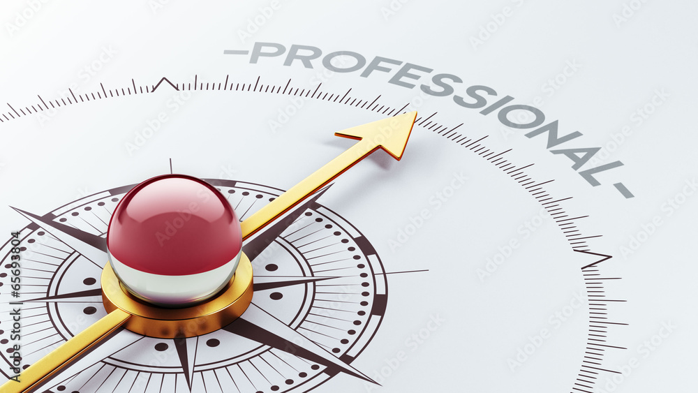 Indonesia Professional Concept Indonesia Professional Concept