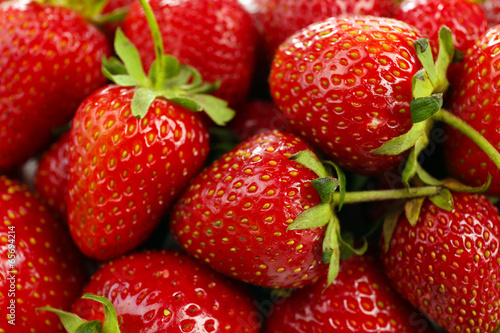 Fototapeta Naklejka Na Ścianę i Meble -  Red ripe strawberries, close up