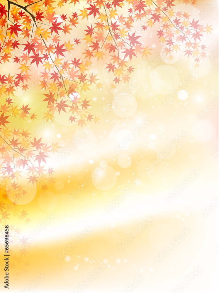 もみじ 紅葉 背景 もみじ 紅葉 背景