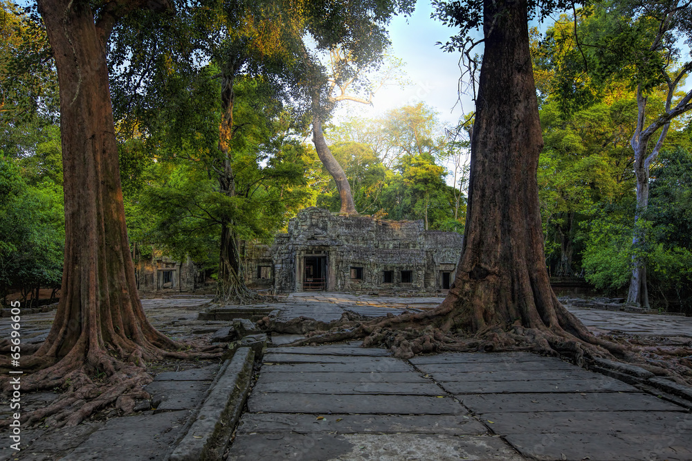 Sunrise over Ta Phrom Sunrise over Ta Phrom