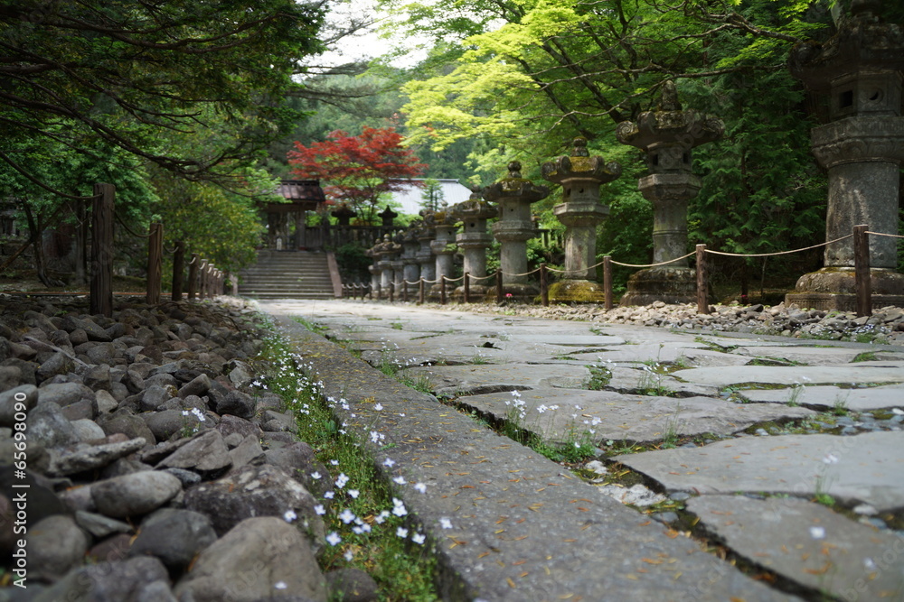 世界遺産輪王寺  龍光院参道