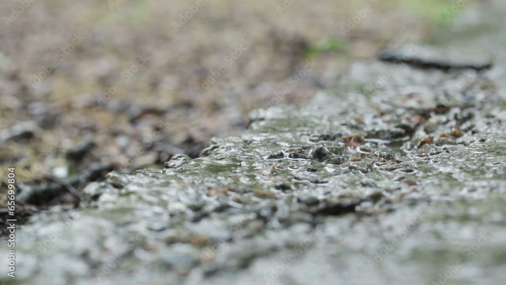 Raindrops on concrete Raindrops on concrete