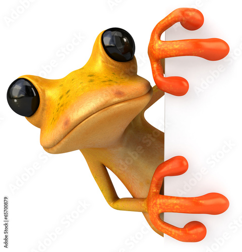 Tablou canvas Yellow frog