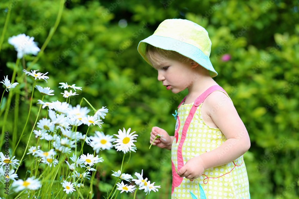 Little girl looking at daisies in the garden