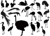 twenty one bird silhouettes on white