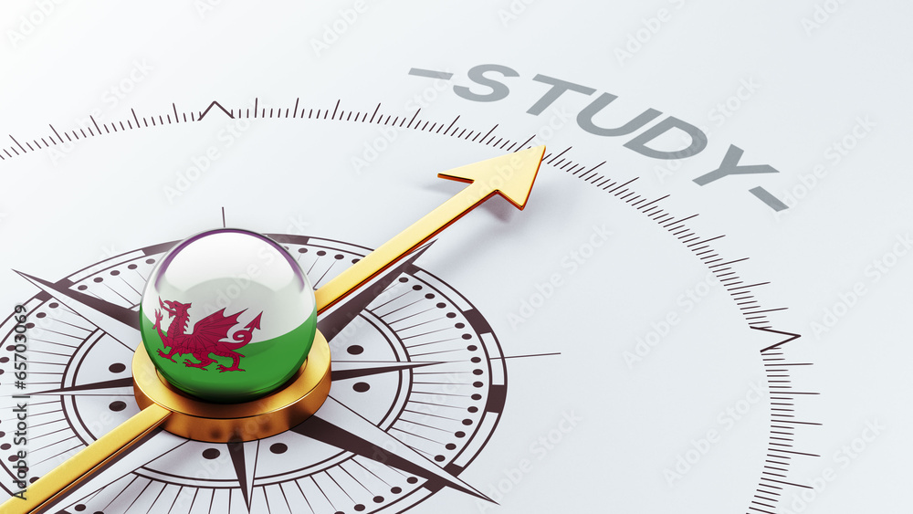 Wales Study Concept