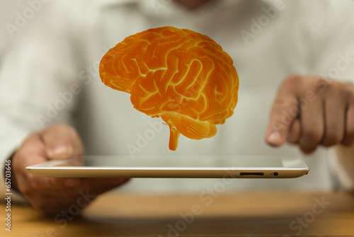 brain